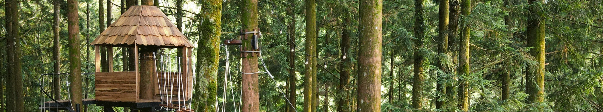 ❈ 叢林探索體驗 ❊