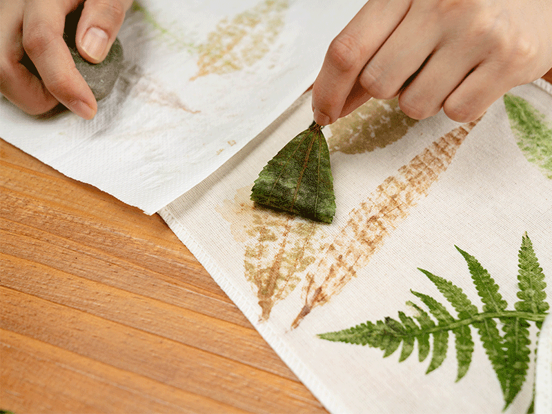 ❈ 植物探險家:葉子敲拓染印 ❊ ❈ 植物探險家:葉子敲拓染印 ❊