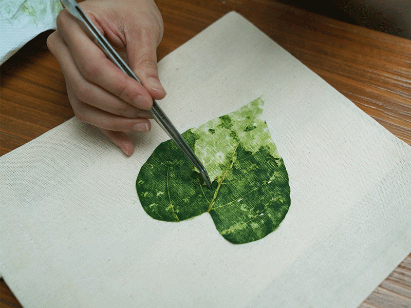 ❈ 植物探險家：葉子敲拓染印 ❊