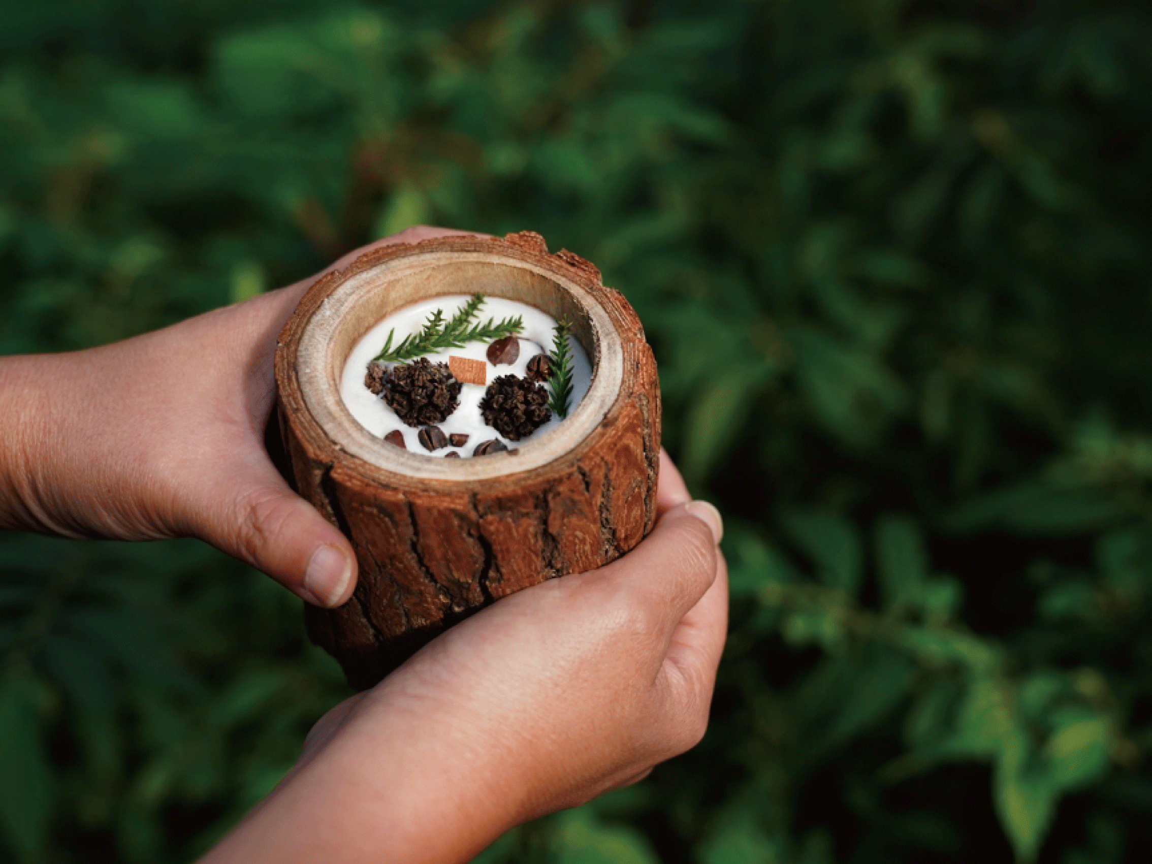 ❈ 森林香氛:天然原木香氛蠟燭 ❊ ❈ 森林香氛:天然原木香氛蠟燭 ❊
