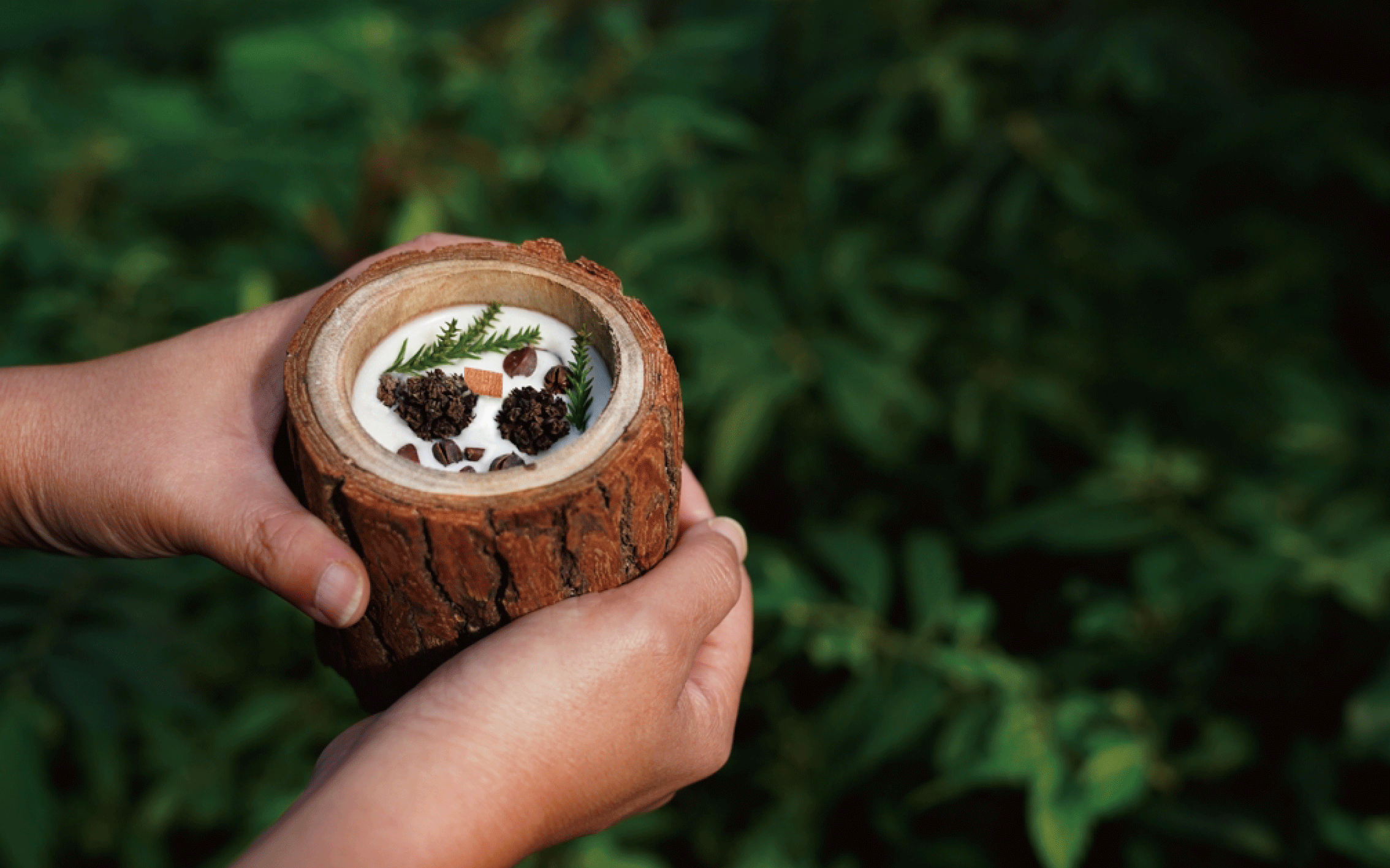 ❈ 森林香氛：天然原木香氛蠟燭 ❊