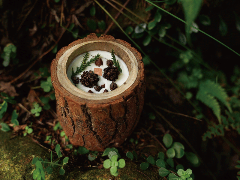 ❈ 森林香氛:天然原木香氛蠟燭 ❊ ❈ 森林香氛:天然原木香氛蠟燭 ❊
