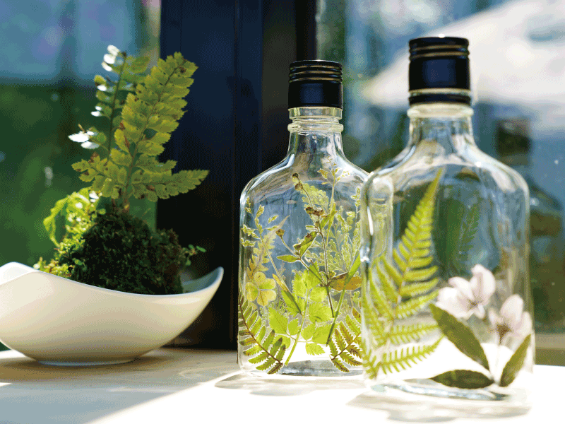 ❈ 螢火蟲季限定版：螢火花草瓶 ❊