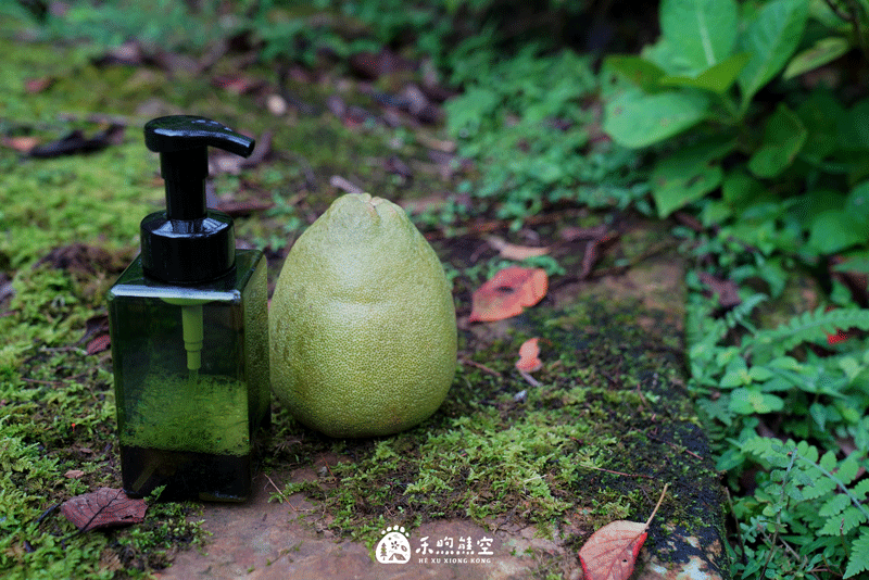 茶山秋分時光🍂天然柚香茶多酚洗手液DIY 茶山秋分時光🍂天然柚香茶多酚洗手液DIY
