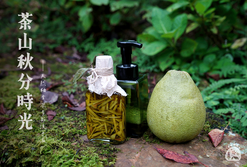 茶山秋分時光🍂天然柚香茶多酚洗手液DIY 茶山秋分時光🍂天然柚香茶多酚洗手液DIY