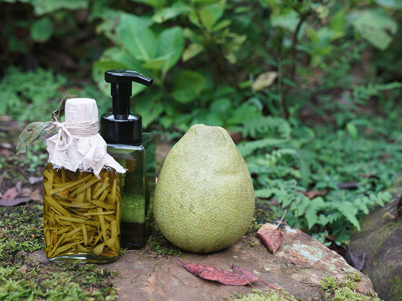 茶山秋分時光