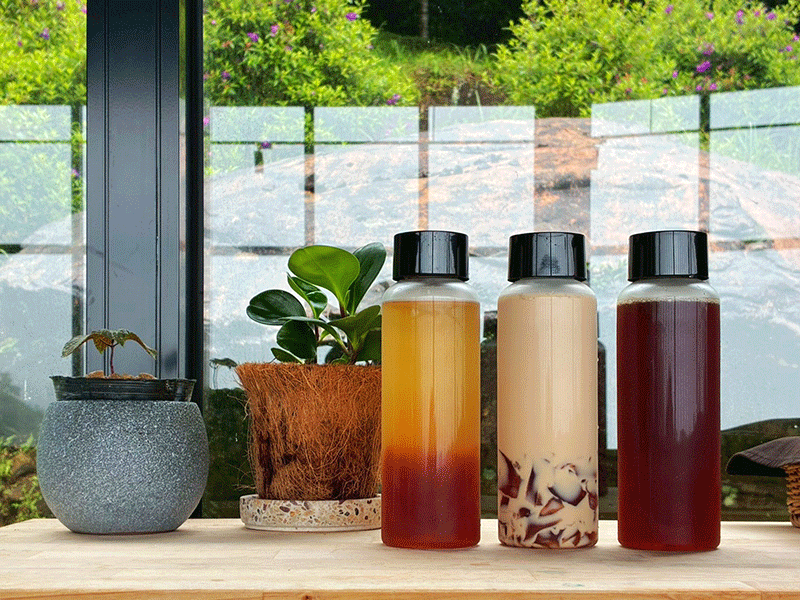 🦗茶山昆蟲偵探×小小植物學家🌱 🦗茶山昆蟲偵探×小小植物學家🌱