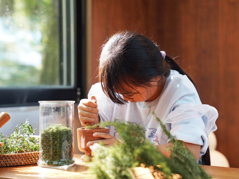 ❈ 茶園巡禮：走進有機熊空茶園 ❈