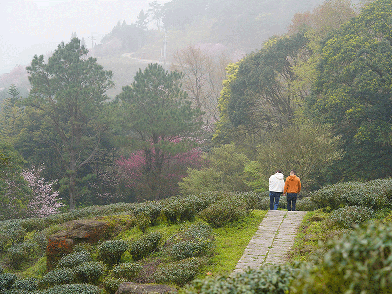 ❈ 禾煦熊空|櫻花園區導覽 🌸 ❈ 禾煦熊空|櫻花園區導覽 🌸