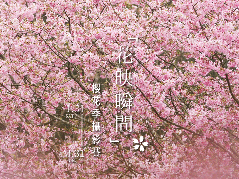 𝟐𝟎𝟐𝟔 花映瞬間．櫻花季攝影賽