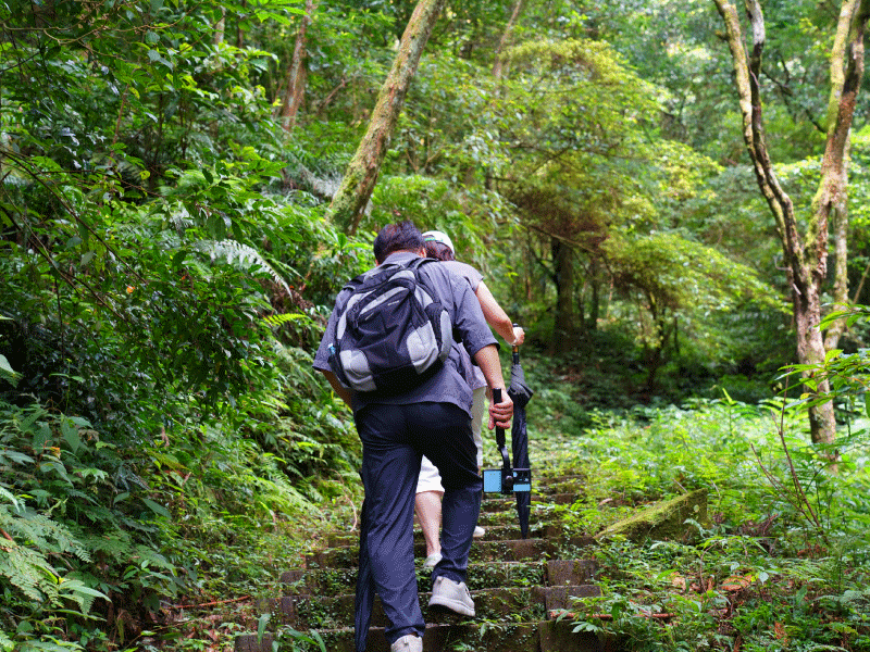 ❈ 禾煦熊空：專人園區導覽 ❊