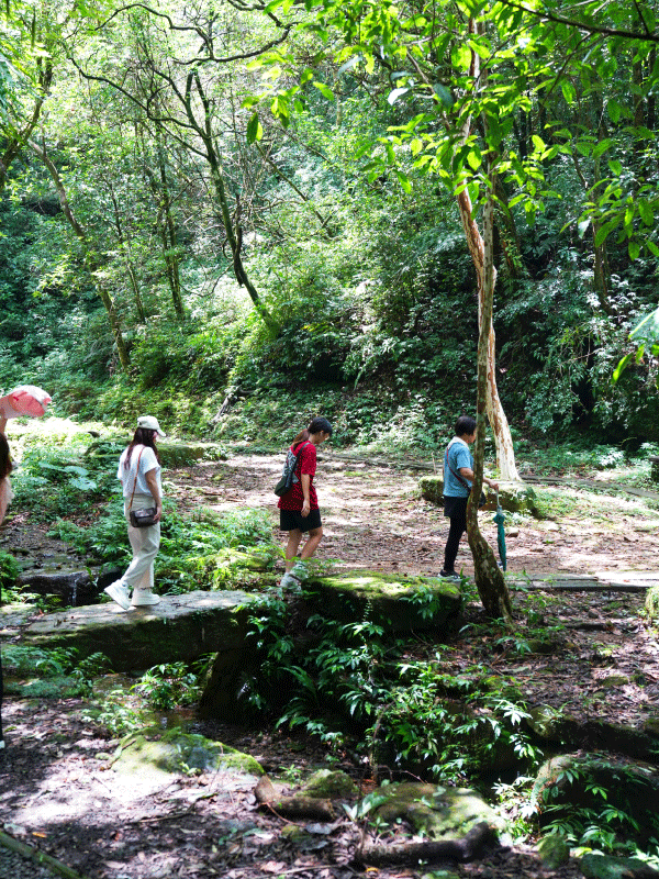 【𝟐𝟎𝟐𝟔.𝟯】營業公告