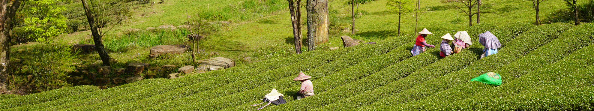 【𝟐𝟎𝟐𝟔.𝟒】營業公告 【𝟐𝟎𝟐𝟔.𝟒】營業公告