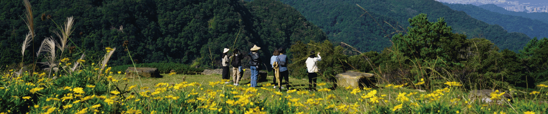 禾煦熊空：體驗活動｜匯款表單