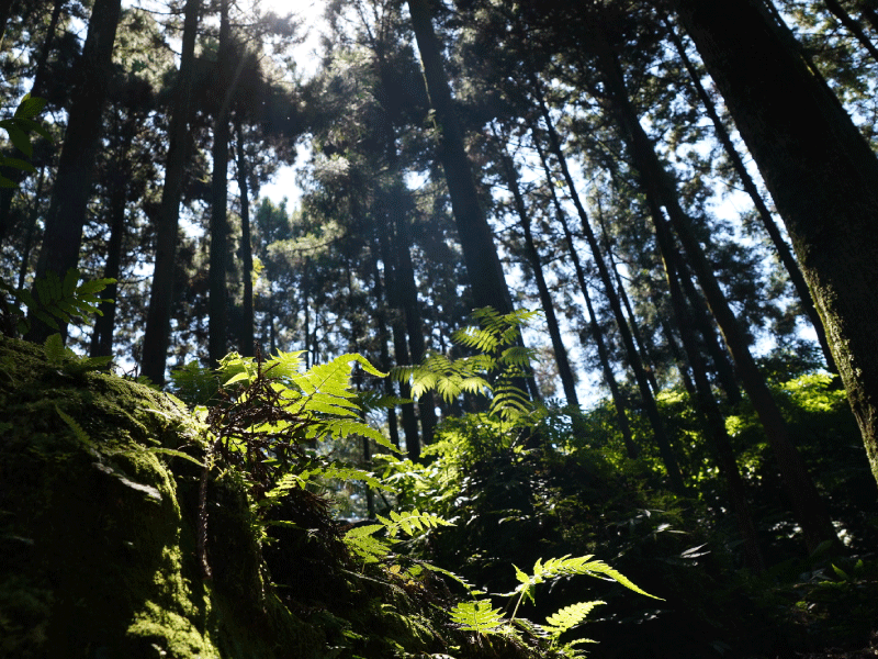 場地租借 場地租借