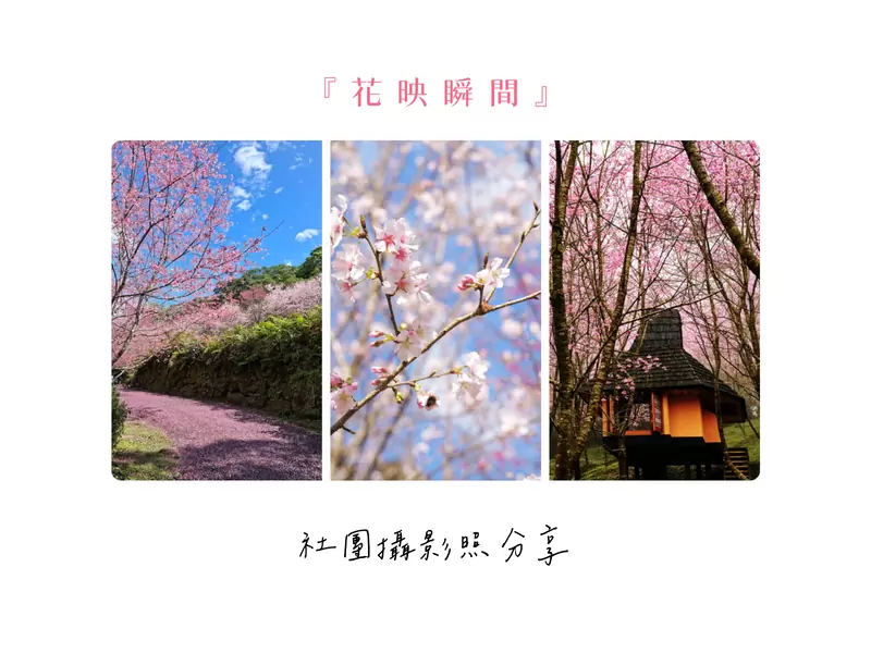 𝟐𝟎𝟐𝟔 花映瞬間．參賽作品分享