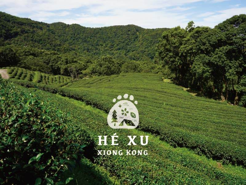 8月12日起試營運