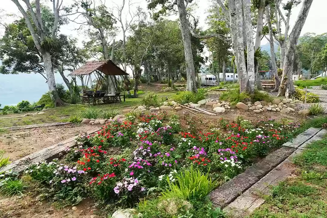 島嶼介紹 島嶼介紹