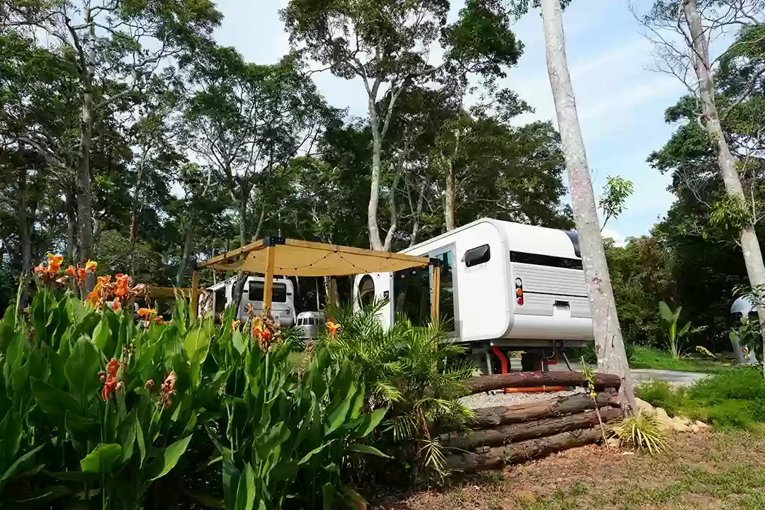 島嶼介紹 島嶼介紹