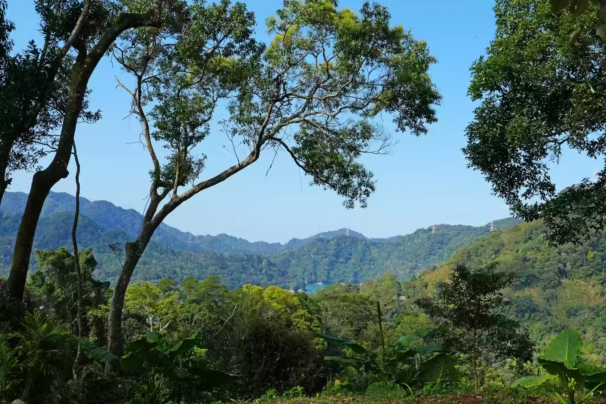 島嶼介紹