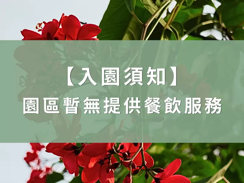 【 公告 】餐飲服務 < 建設中 >